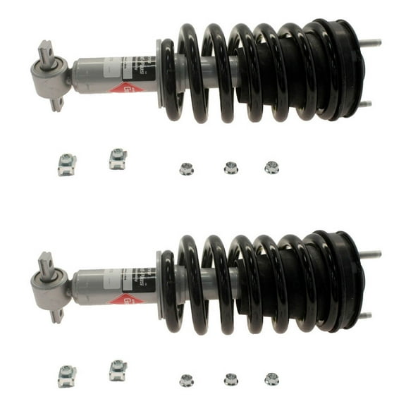 BuyAutoParts Shock and Strut Set 77-74777C8