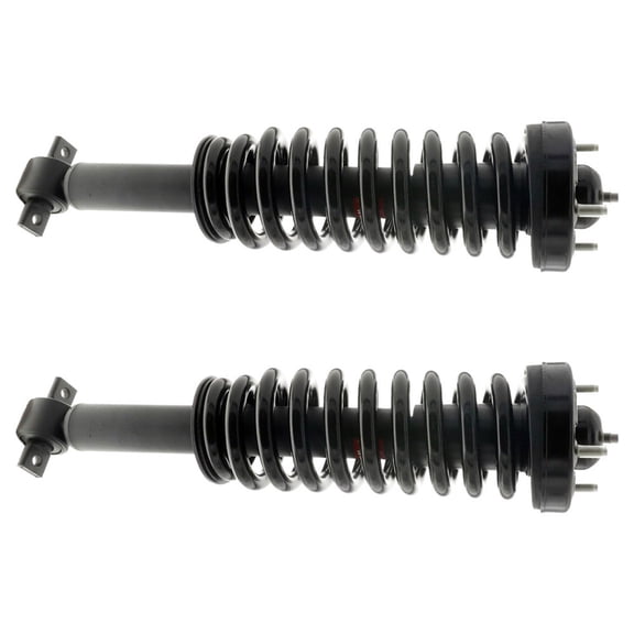 BuyAutoParts Shock and Strut Set 77-74810C8