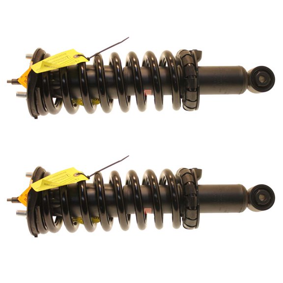 BuyAutoParts Shock and Strut Set 77-74833C8