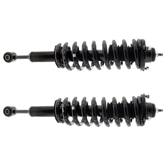 BuyAutoParts Shock and Strut Set 77-74889C8