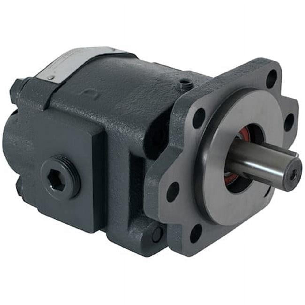 Buyers Products Hydra Star Hydraulic Pump - 2/4 Bolt SAE B Mount, 1" Keyed Shaft