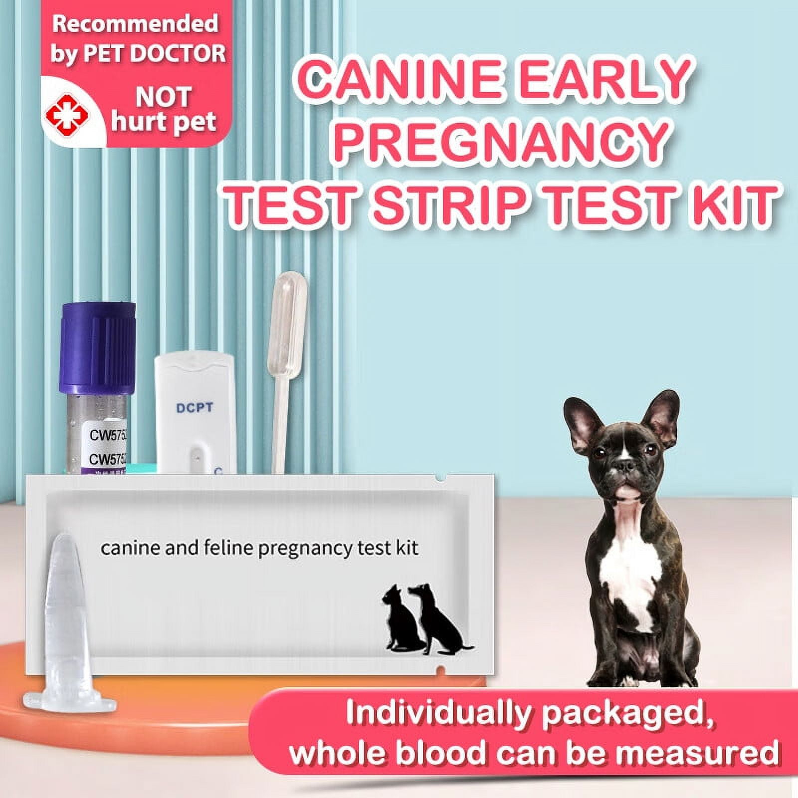 Buytra Dog Pregnancy Test Strip Dog Pregnancy Test Card Canine