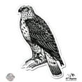 thumbnail image 1 of Buzzard Raptor - 5" Vinyl Sticker - For Car Laptop I-Pad - Waterproof Decal, 1 of 1