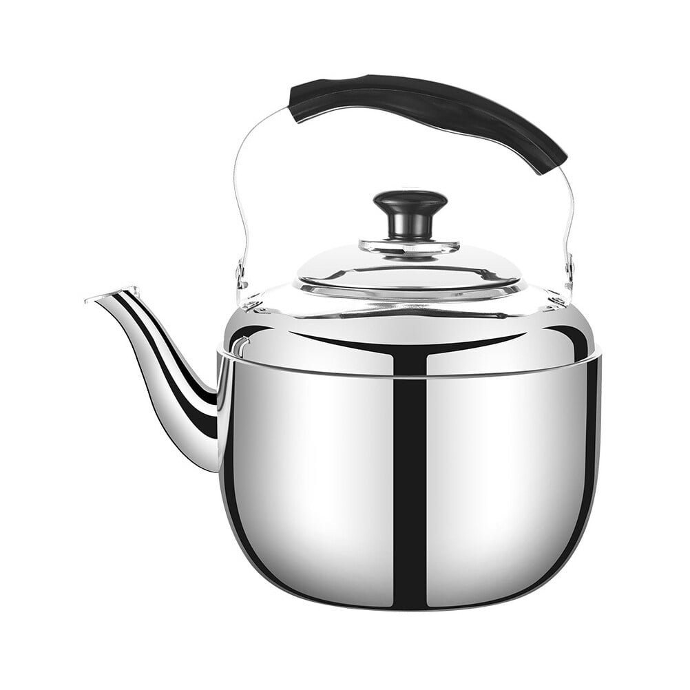 Buzzing Kettle Induction Cooker Household Pot Stainless Steel Cooking Decorations for Home