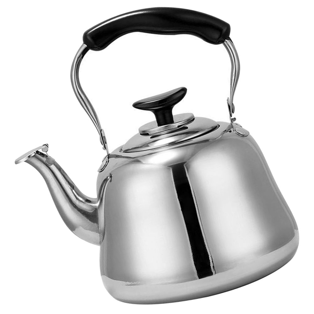 Buzzing Kettle Induction Cooktop Burners Whistling Water Teakettle