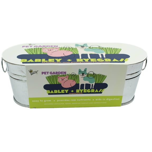 Buzzy Barley and Ryegrass Pet Garden Windowsill Grow Kit Item 97613