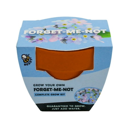 Buzzy Forget Me Not Flower Grow Kit with Mini Terra Cotta Pot