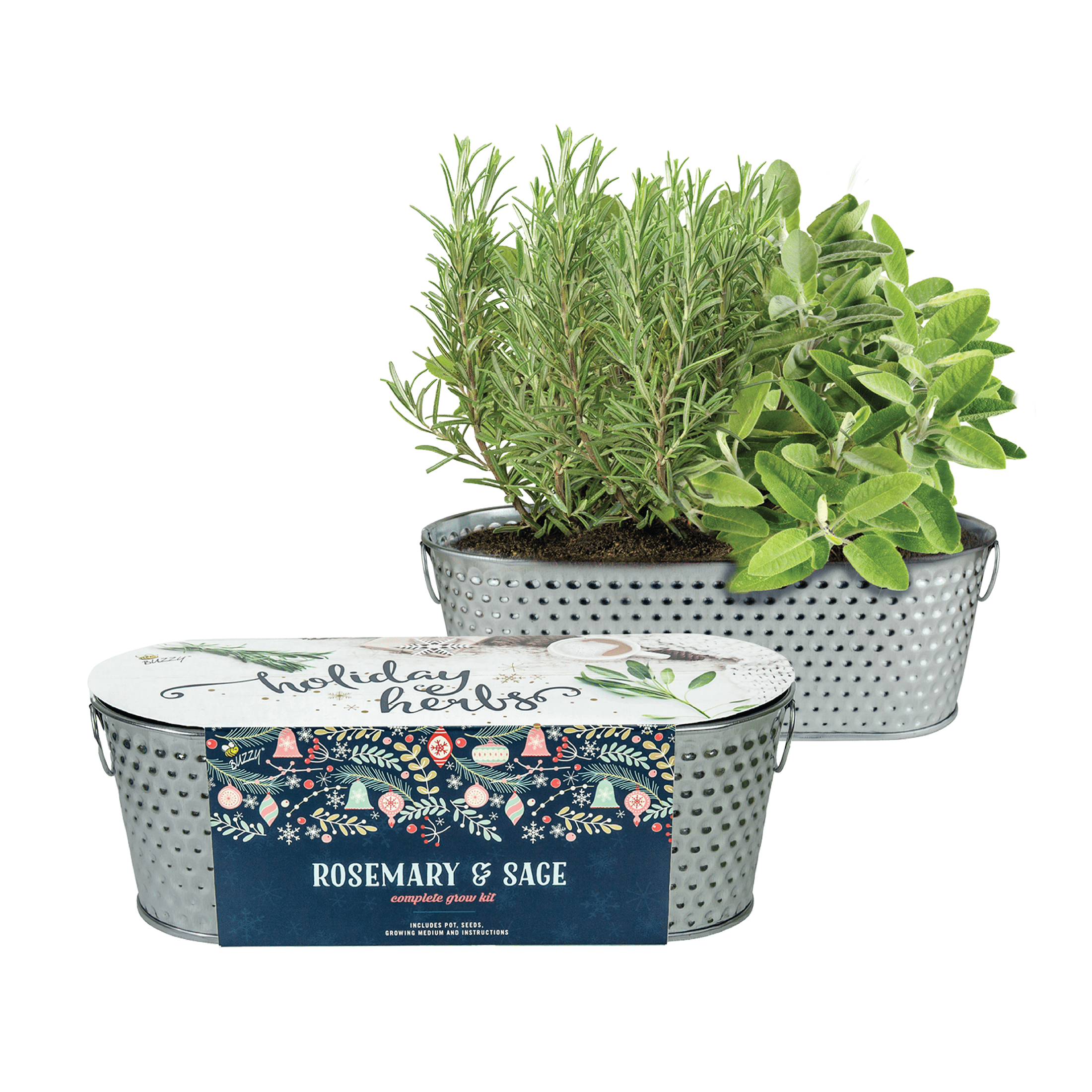 Hammered Holiday Herb Windowsill Rosemary and Sage Hammered Holiday Herb Windowsill Rosemary and Sage