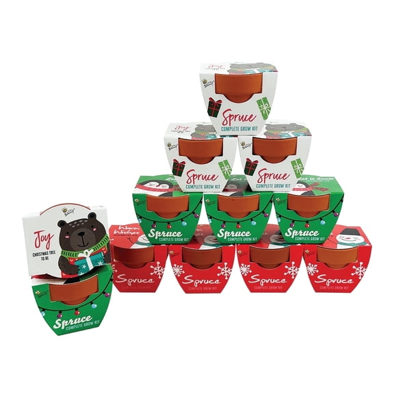 Buzzy Seeds Mini Grow Pot Holiday Spruce Seed Starter Kit
