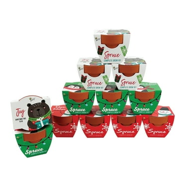 Buzzy Seeds Mini Grow Pot Holiday Spruce Seed Starter Kit