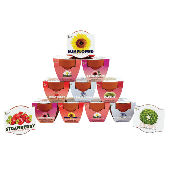 Buzzy Seeds Mini Terracotta DIY Grow Kit 12pk with Flowers, Cactus & Strawberry Seeds