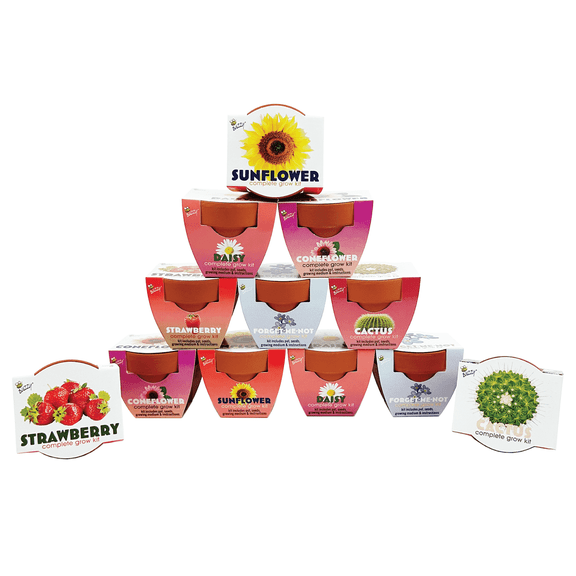 Buzzy Seeds Mini Terracotta DIY Grow Kit 12pk with Flowers, Cactus & Strawberry Seeds