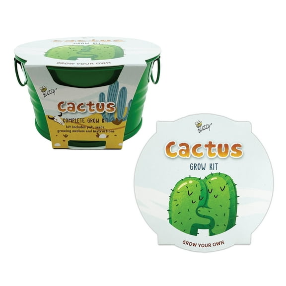 Buzzy Seeds Kids Cactus Mini Basin Grow Kit Indoor Seed Starter Kit