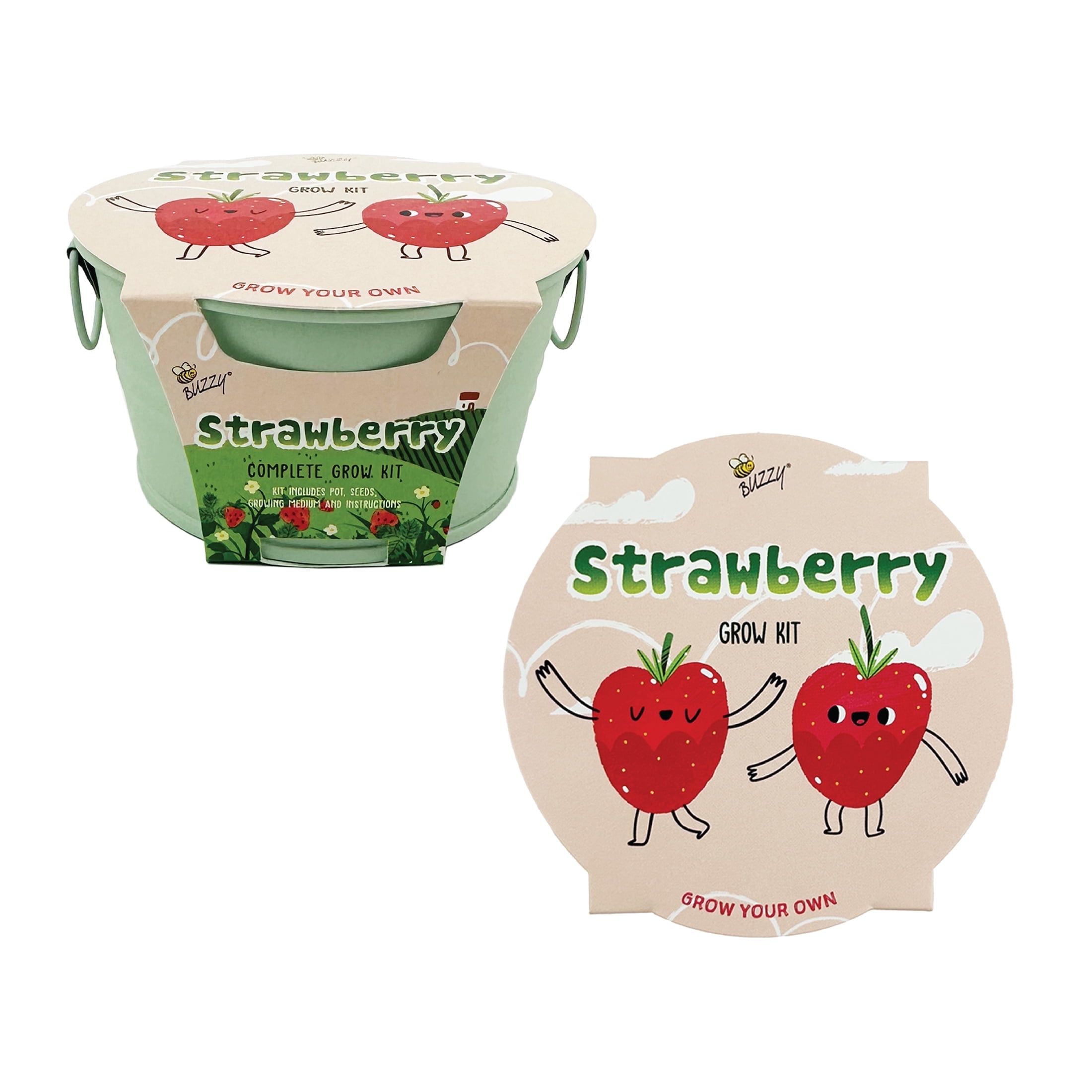 Kid's Light Green Strawberry Grow Kit with Metal Basin
