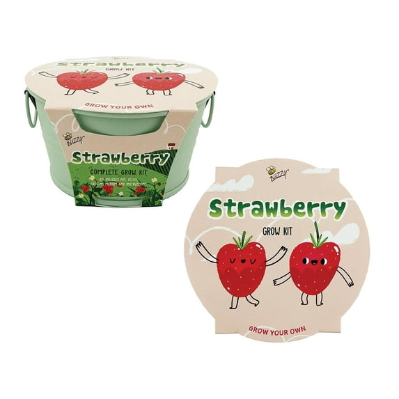 Buzzy Seeds Strawberry Gardening Kit for Kids Mini Basin Seed Starter