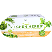 Buzzy Seeds Basil, Cilantro, Chive Organic Herb Garden Grow Kit Indoor Windowsill Planter