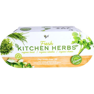 Buzzy Seeds Basil, Cilantro, Chive Organic Herb Garden Grow Kit Indoor Windowsill Planter