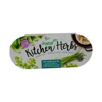 Buzzy Seeds Organic Herb Garden Windowsill Grow Kit Indoor Seed Starter