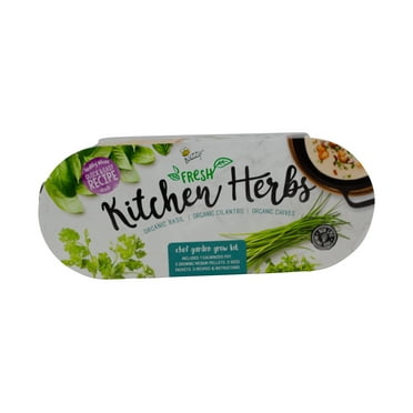 Buzzy Seeds Organic Herb Garden Windowsill Grow Kit Indoor Seed Starter
