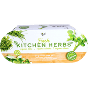 Buzzy Seeds Basil, Cilantro, Chive Organic Herb Garden Grow Kit Indoor Windowsill Planter