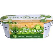 Buzzy Seeds Indoor Herb Garden Planter Kit with Rosemary Seeds & Thyme Seeds for Plant Lover Gifts