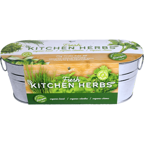 Buzzy Seeds Basil, Cilantro, Chive Organic Herb Garden Grow Kit Indoor Windowsill Planter