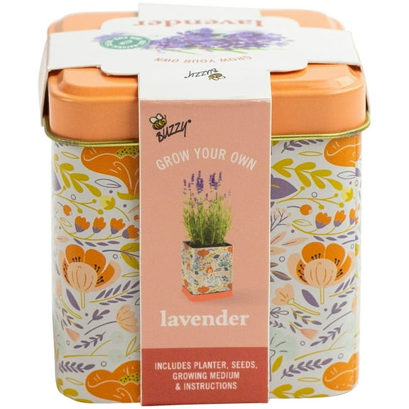Buzzy Lavender Herb Grow Kit With Decorative Floral Tin Item 97205