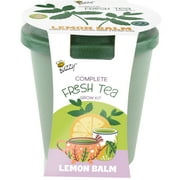Buzzy Lemon Balm Herb Tea Time Grow Kit Item 96821