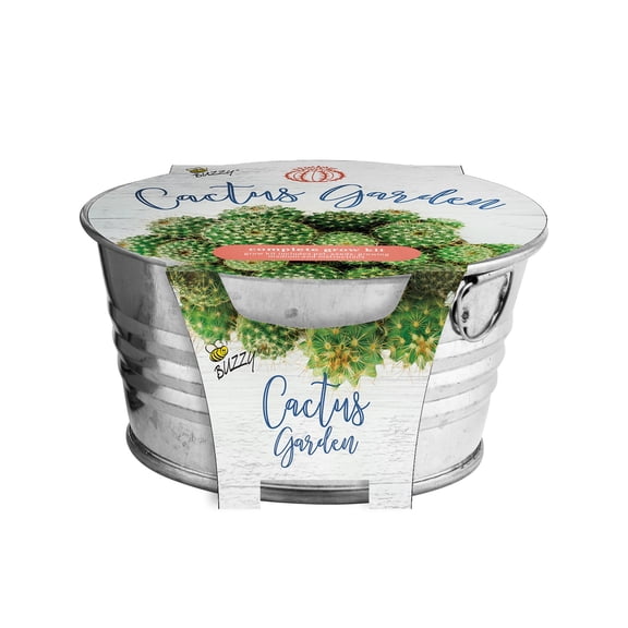 MINI GALAVANIZED BASIN CACTUS