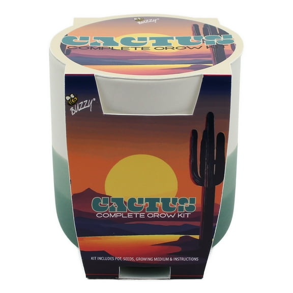 Buzzy Ombre Ceramic Desert Cactus Succulent Grow Kit