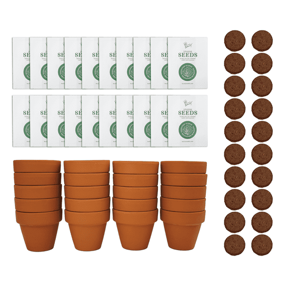 Buzzy Seeds Mini Terracotta Grow Kit Pots Spruce Tree Seed Starter 20pk