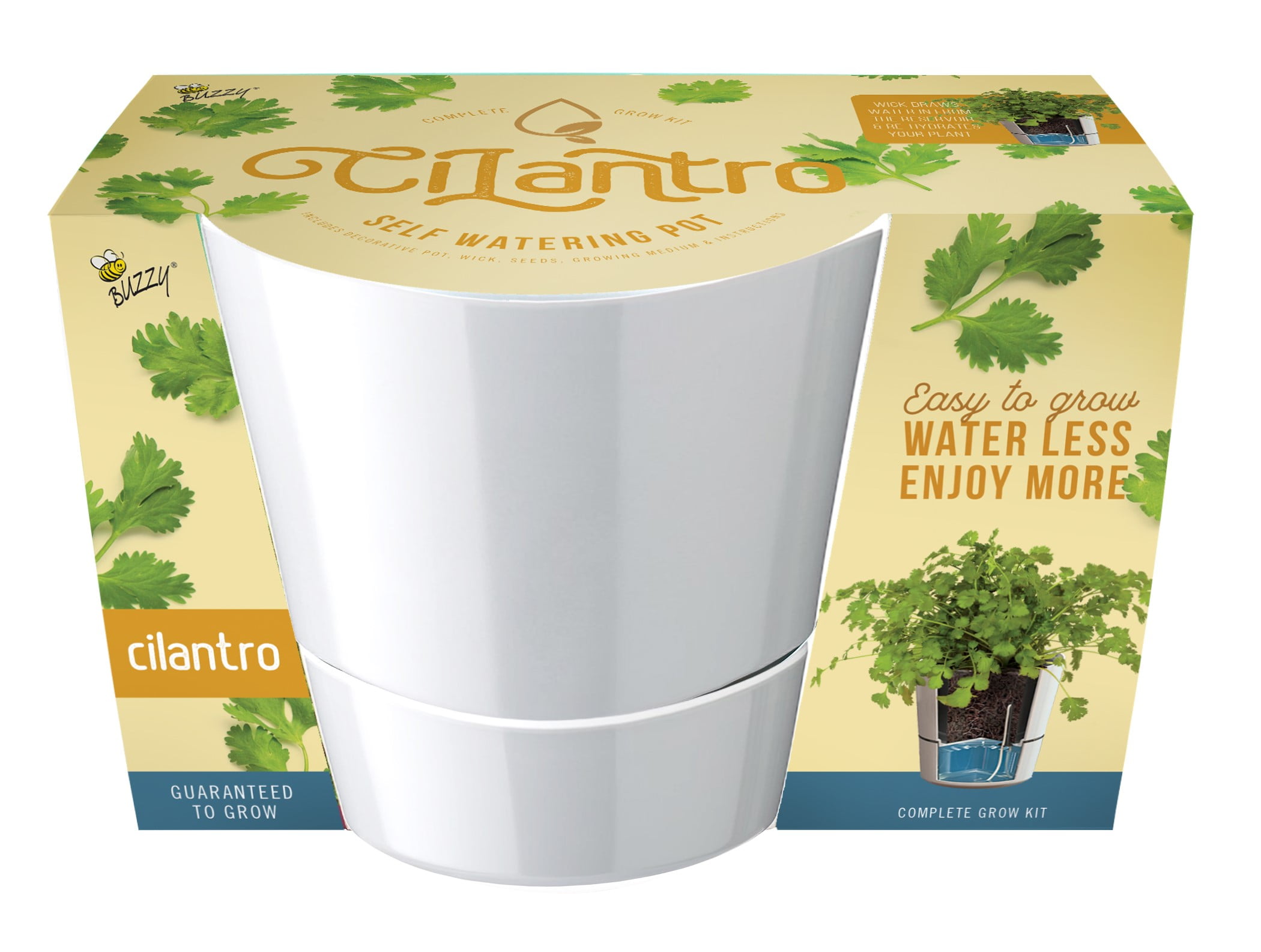 Buzzy SelfWatering Grow Kit Guaranteed to Grow Cilantro