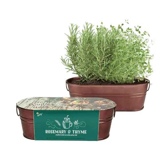 Buzzy Seeds Indoor Herb Garden Planter Kit with Rosemary Seeds & Thyme Seeds for Plant Lover Gifts