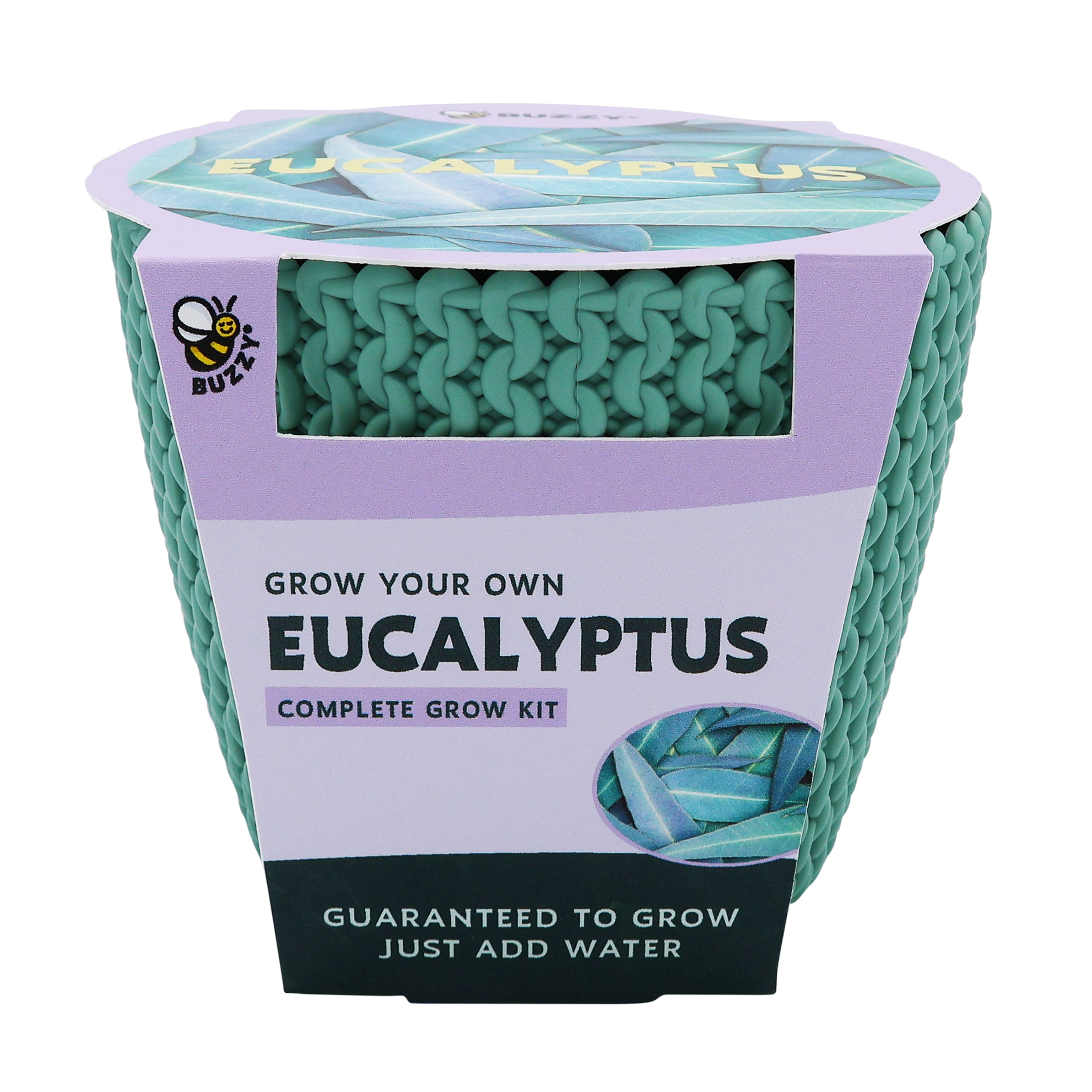 Buzzy Woven Grow Pot Eucalyptus House Plant Item 96516