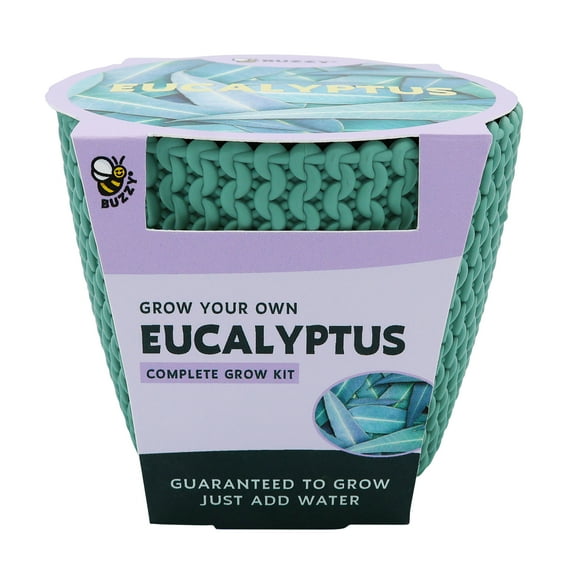 Buzzy Woven Grow Pot Eucalyptus House Plant Item 96516