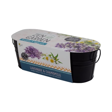 Buzzy Seeds Zen Herb Garden Lavender & Chamomile Indoor Starter Kit for Small Spaces
