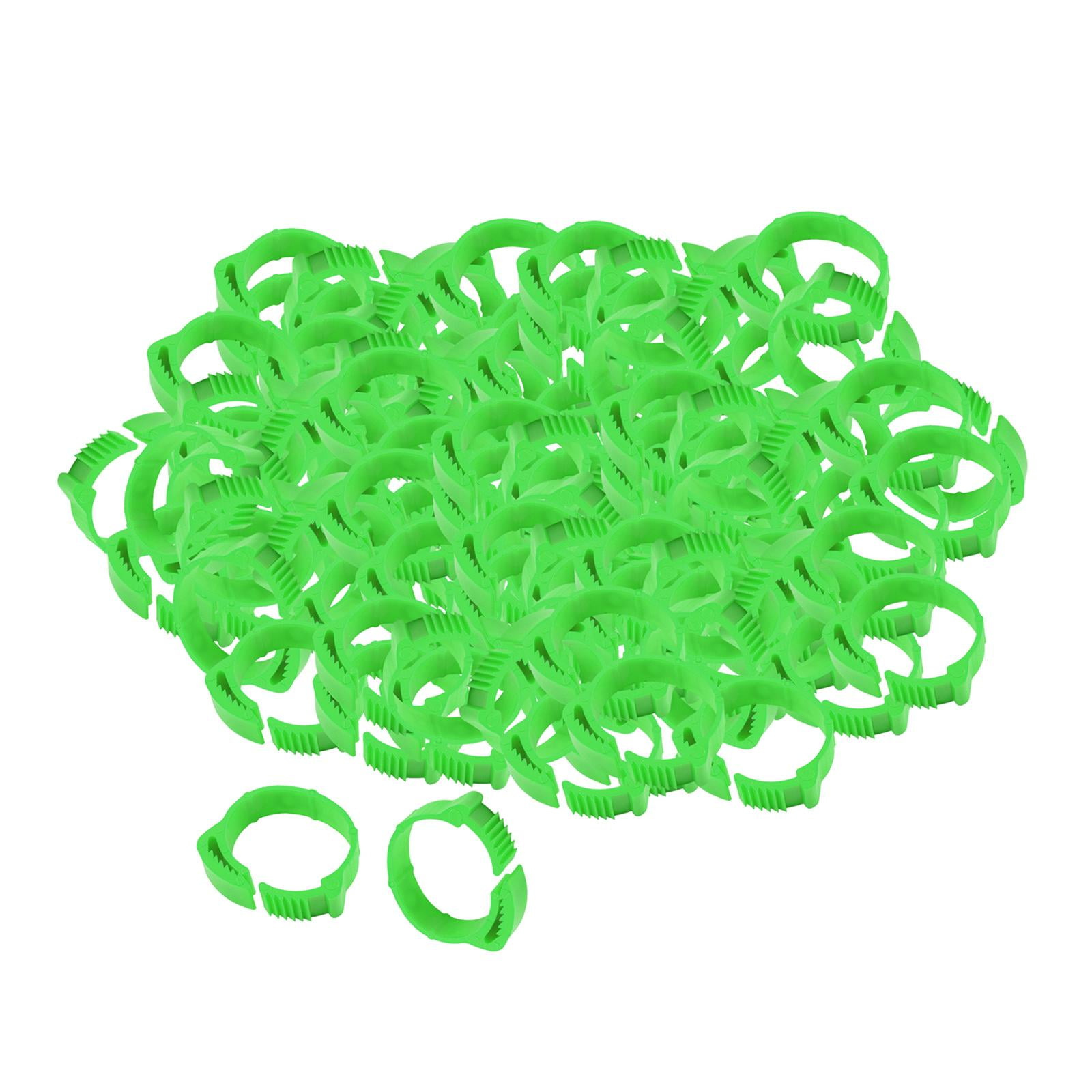 Bvdfgk 100 Pack of Poultry Bands, Bird Adjustable Foot Label Rings ...