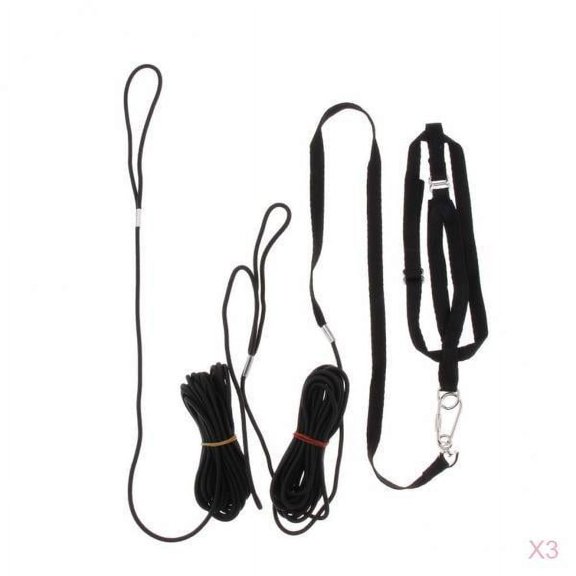Bvdfgk 3 Pcs Adjustable 8 Meter Harness Parrot Parakeet Parakeet Macaws Finches Lovebird