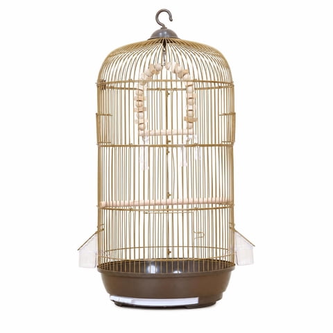 Bvdfgk Bird Cage with Swing Indoor Bird Cage with Perch Detachable for Balcony, Parrots Gold SET 1