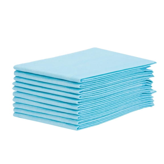 Bvdfgk Disposable Underpads Large Size Ultra Absorbent Mats 10 Per Bag Pee Pads for Bed and Furniture Protection Pets Puppy DogTraining