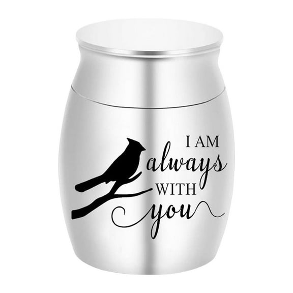 Bvdfgk Funeral Storage Container Unique Multifunctional Practical Lightweight Cremation