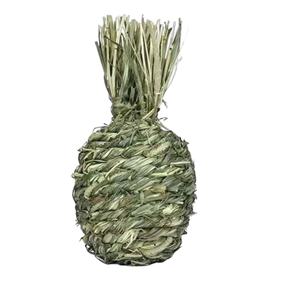 Bvdfgk Small Animal Chewing Ball Toy, Bunny Chewing Grass Ball, Rabbit Grinding Biting, Pineapple