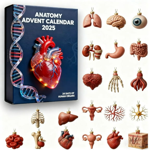 Bwiyojiz Home Decor 2025 Anatomy Advent Calendar Human Organ Surprises Funny Acrylic Miniatures Countdown Science-Inspired Christmas, Christmas Gifts, Blue