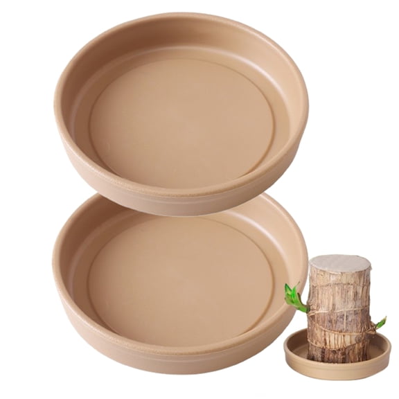 Bxaolu Brazilian Wood Plant Pallet, Brazilian Lucky Wood Plant for Purifying Indoor Air, Brazilwood Plant Home Décor(2Pack)