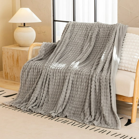 Bxaolu Cozy Fleece Throw Blanket for Couch, Soft Fuzzy Plush Cozy Throw Gifts Blanket for Women, Blanket for Sofa Office. 39.37×59in, Gray