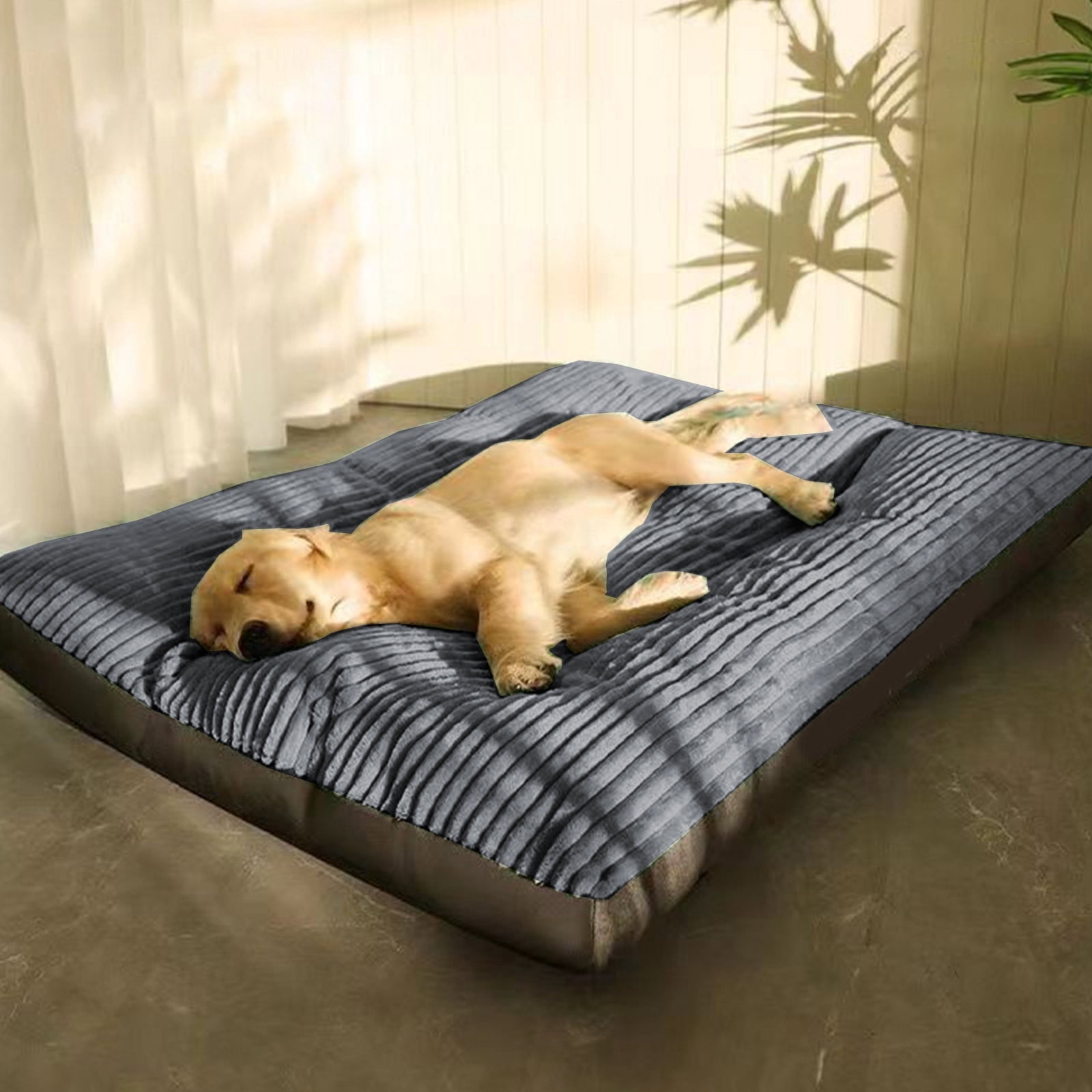 Bxaolu Dog Bed for Medium/Large Dogs, Cute Foam Dog Beds with Removable Cover, Corduroy Comfort Furry Dog Mats for Indoor Dogs (19x24 Inches )