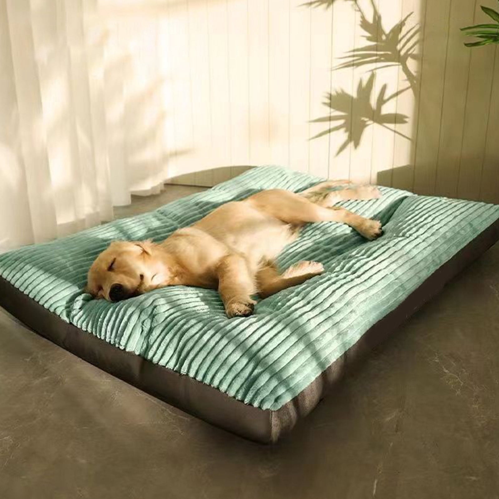 Bxaolu Dog Bed for Medium/Large Dogs, Cute Foam Dog Beds with Removable Cover, Corduroy Comfort Furry Dog Mats for Indoor Dogs (19x24 Inches )