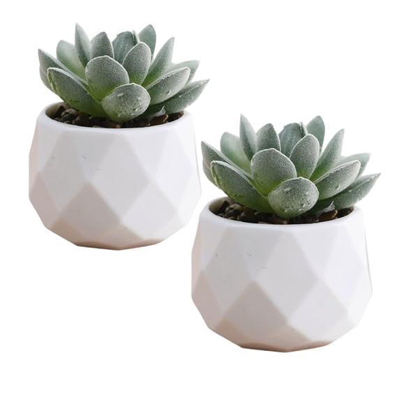 Bxaolu Set of 2 Succulents Plants Artificial in Pots Small Fake Plants for Bedroom Aesthetic Living Room Shelf Bathroom Decor Home Office Desk Accessories