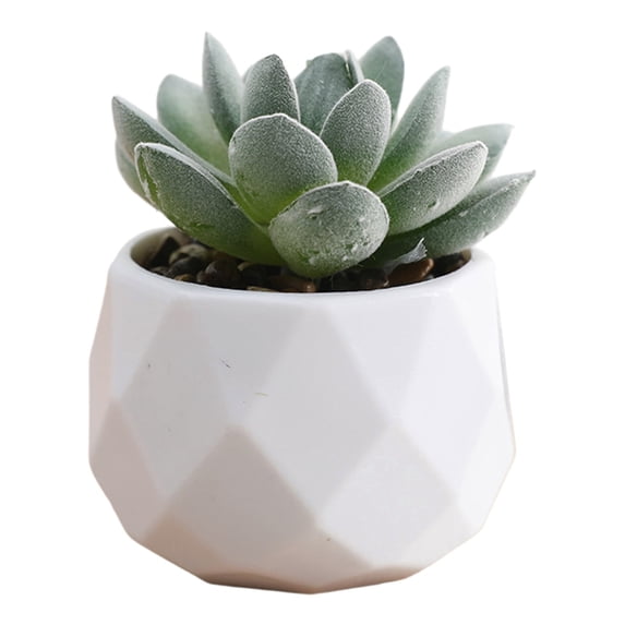 Bxaolu Succulents Plants Artificial in Pots Small Fake Plants for Bedroom Aesthetic Living Room Shelf Bathroom Decor Home Office Desk Accessories(1Pack)