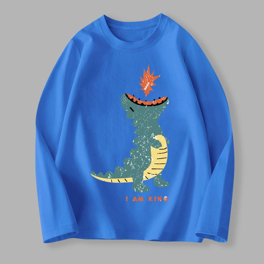 Bxsruta Pullover for Kids, Children's Print Long Sleeve T-Shirt, Round ...
